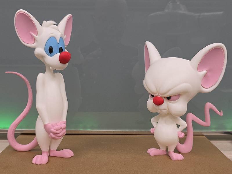 Pinky and the Brain
