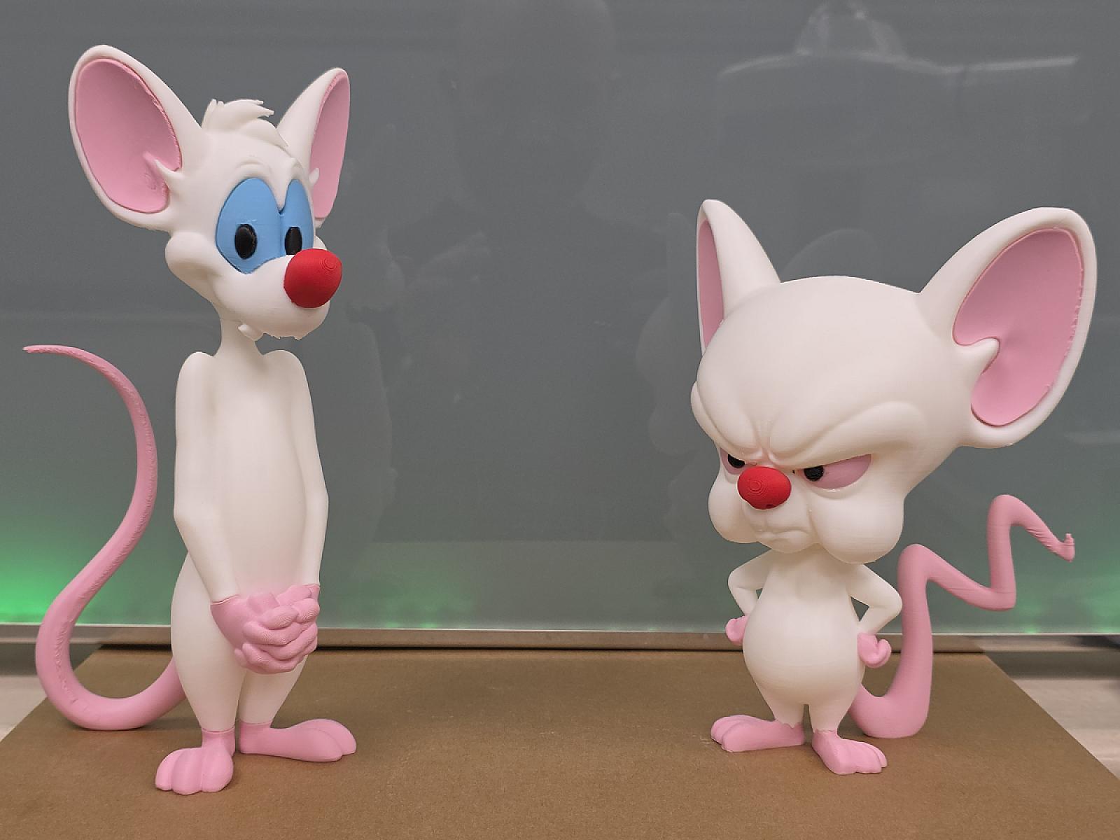 Pinky and the Brain