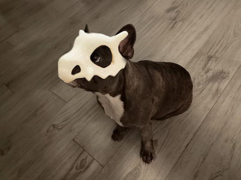 Dog and Cat Mask (Cubone from Pokémon)