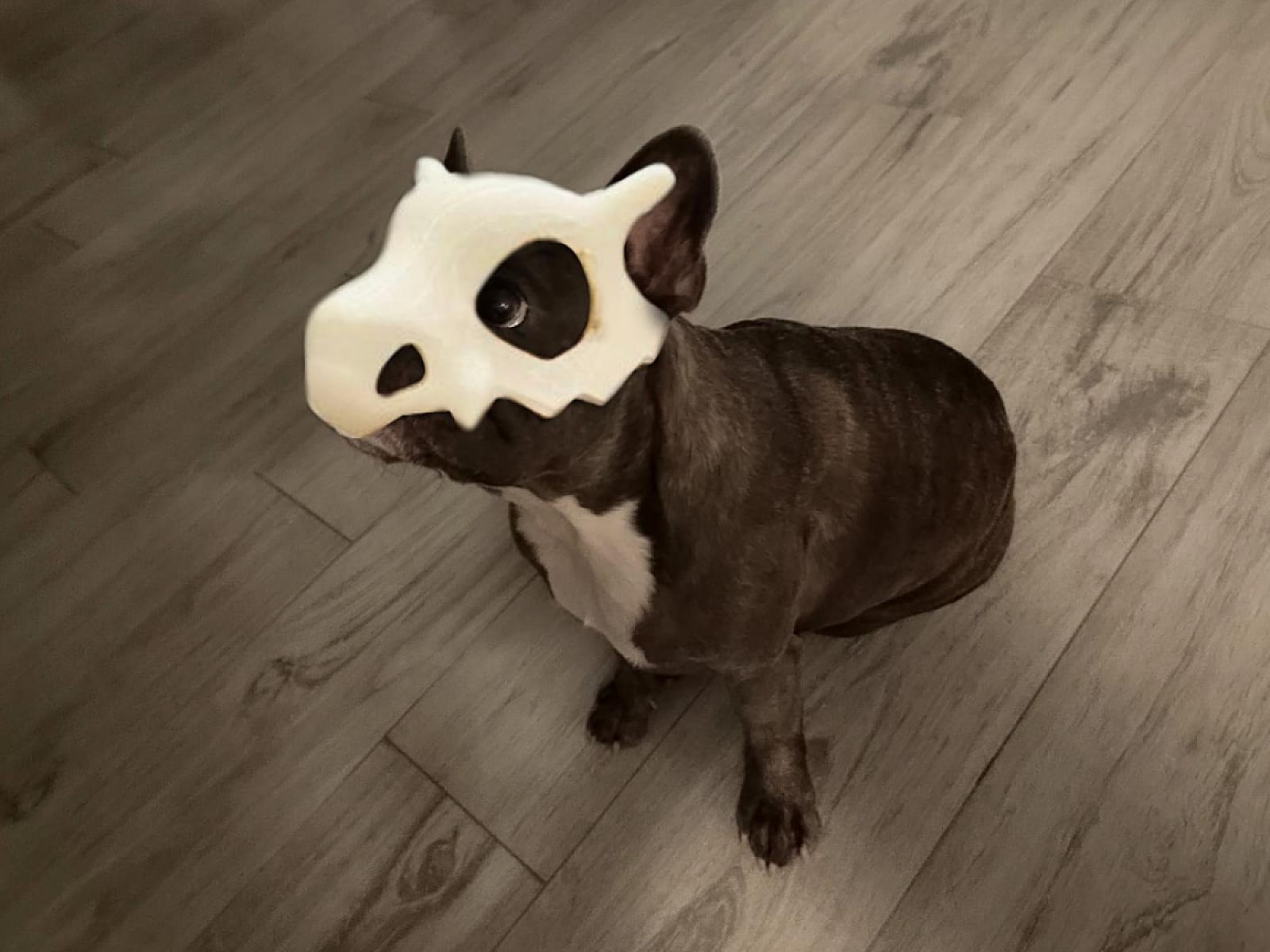 Dog and Cat Mask (Cubone from Pokémon)