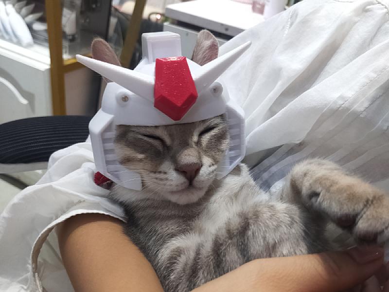 Cat - Gundam Version