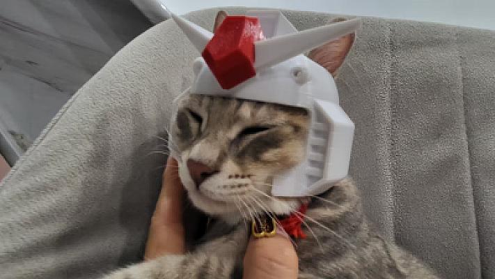 Cat - Gundam Version