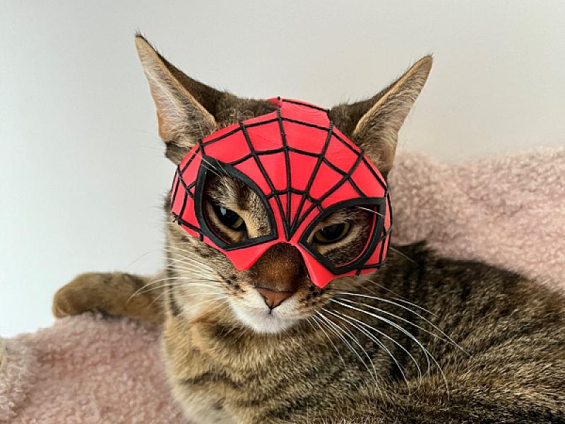 Spidercat Mask