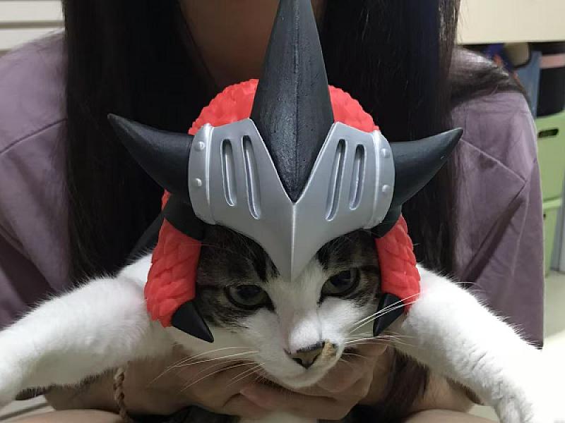 Monster Hunter - Palico Fire Dragon Helmet
