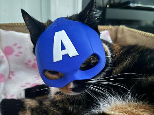 Captain America Cat Mask - Multipart - No Ams