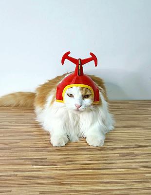 Kabutack Pet Cat Helmet Hat