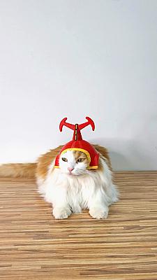 Kabutack Pet Cat Helmet Hat